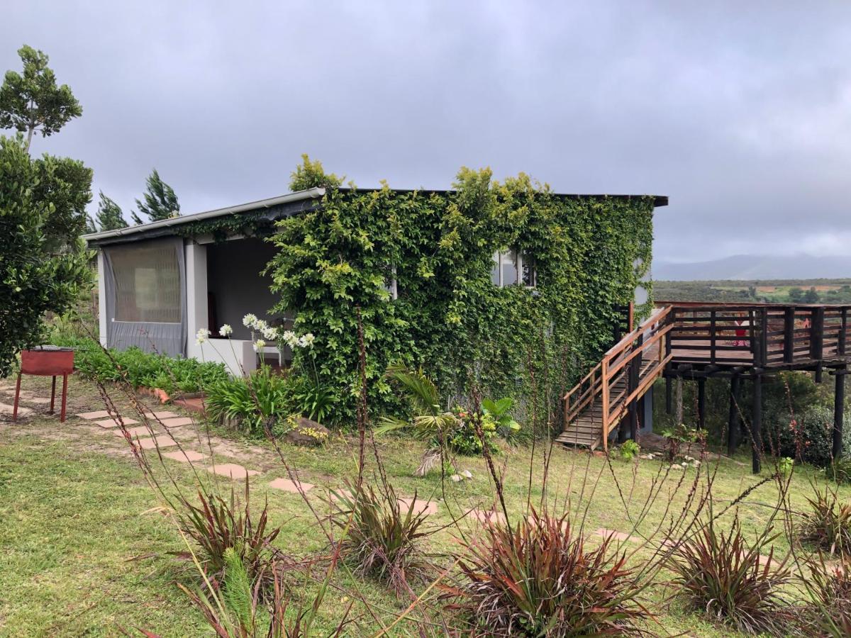 Rainforest Ridge Eco Lodge The Crags Exterior foto
