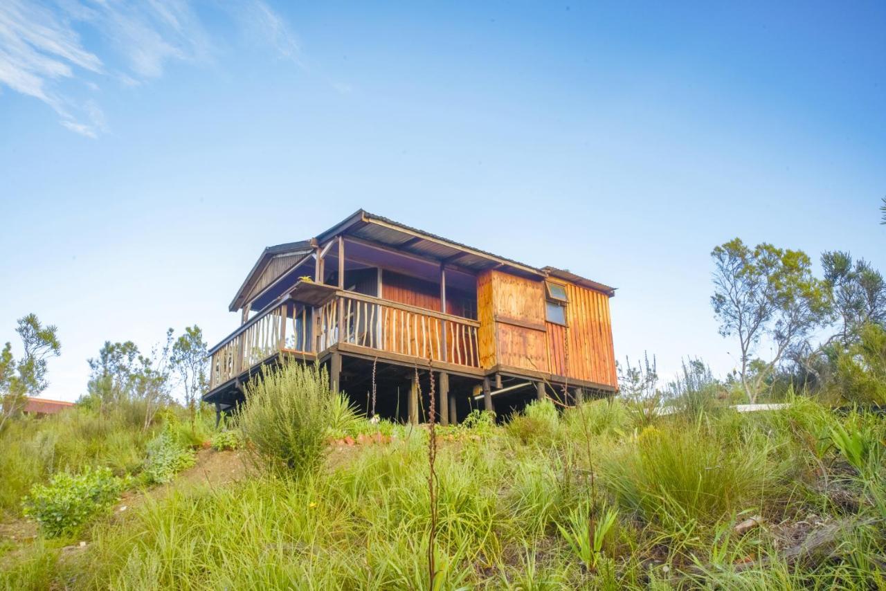 Rainforest Ridge Eco Lodge The Crags Exterior foto