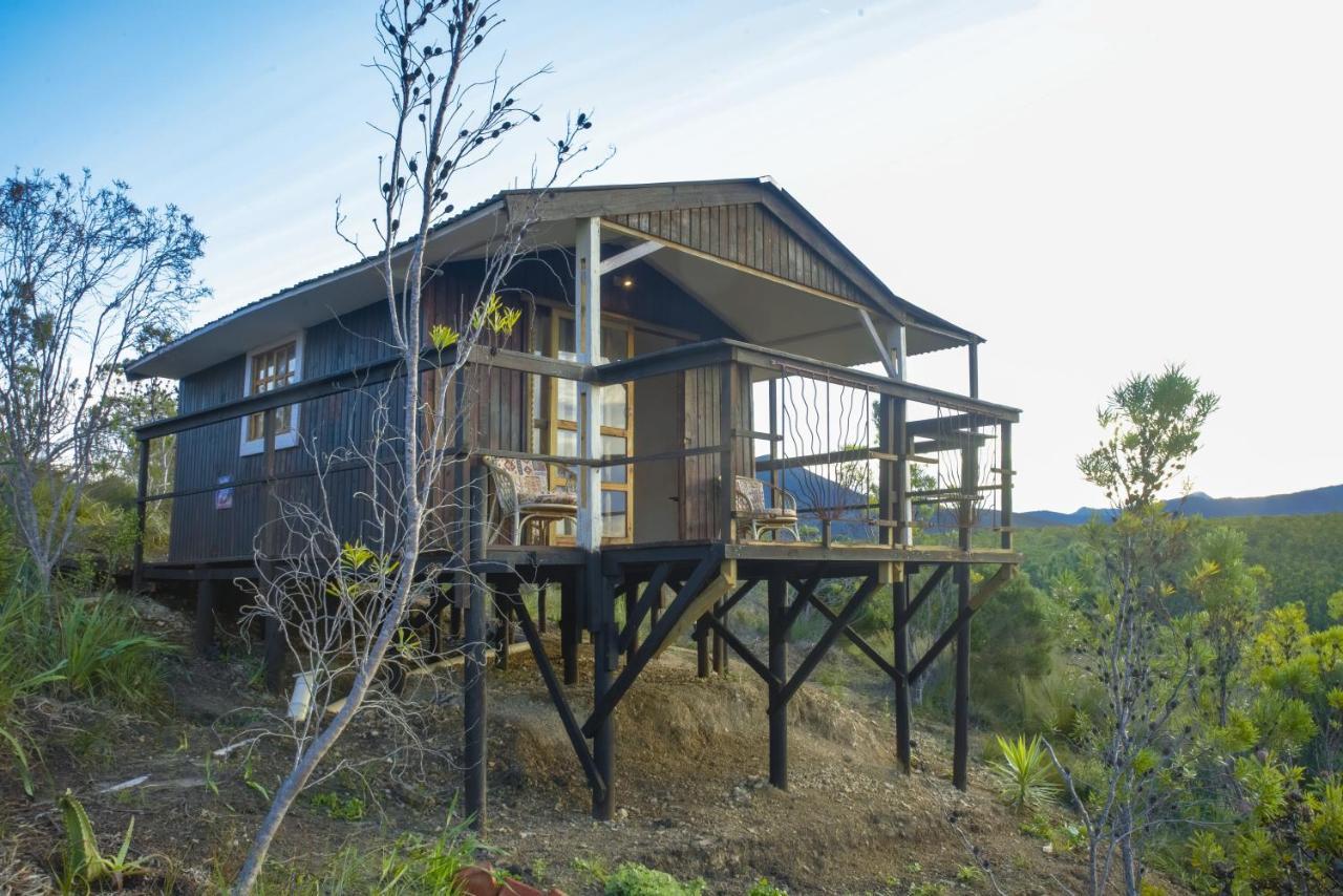 Rainforest Ridge Eco Lodge The Crags Exterior foto